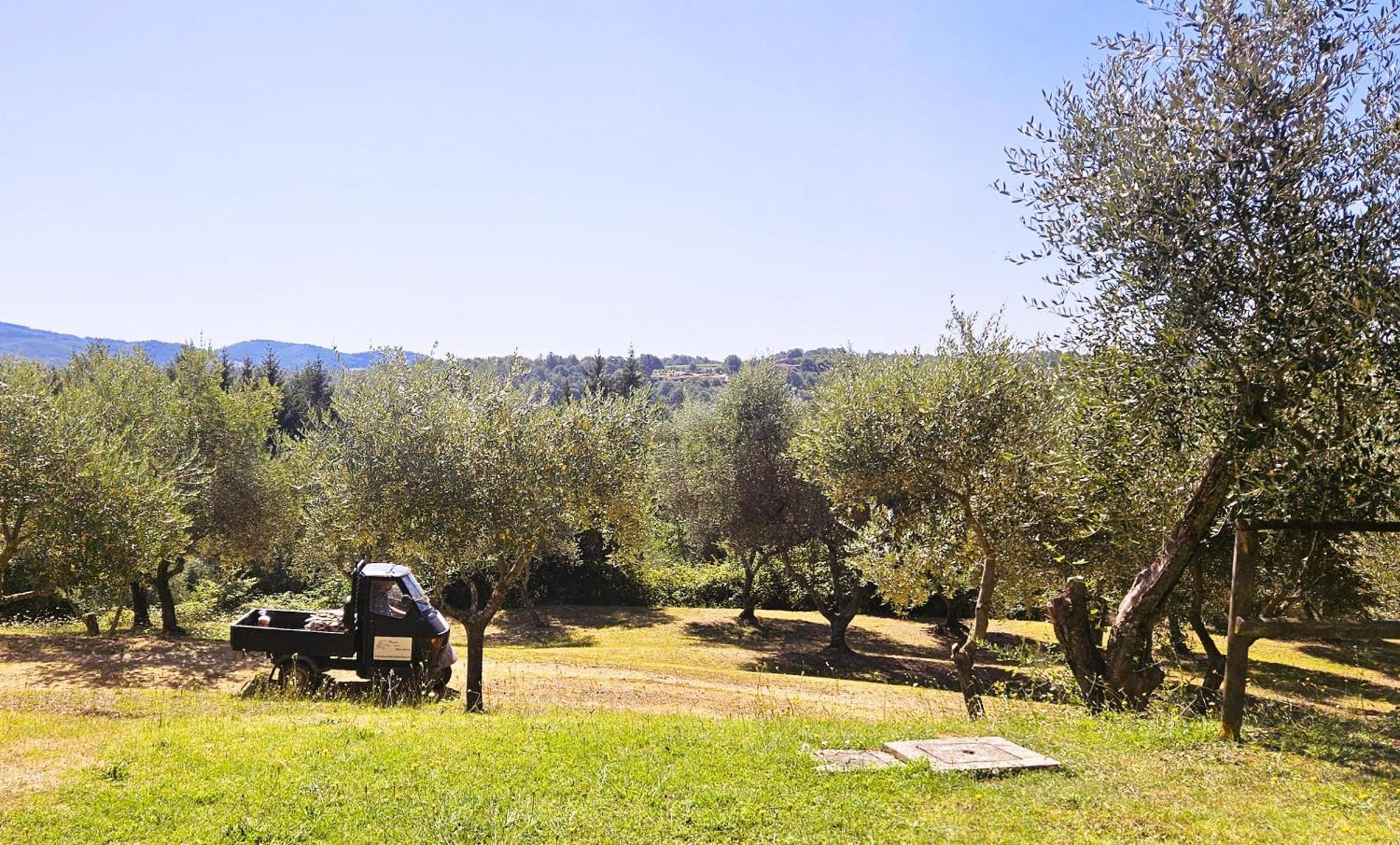 Pian Della Bandina Lägenhet Città della Pieve Exteriör bild